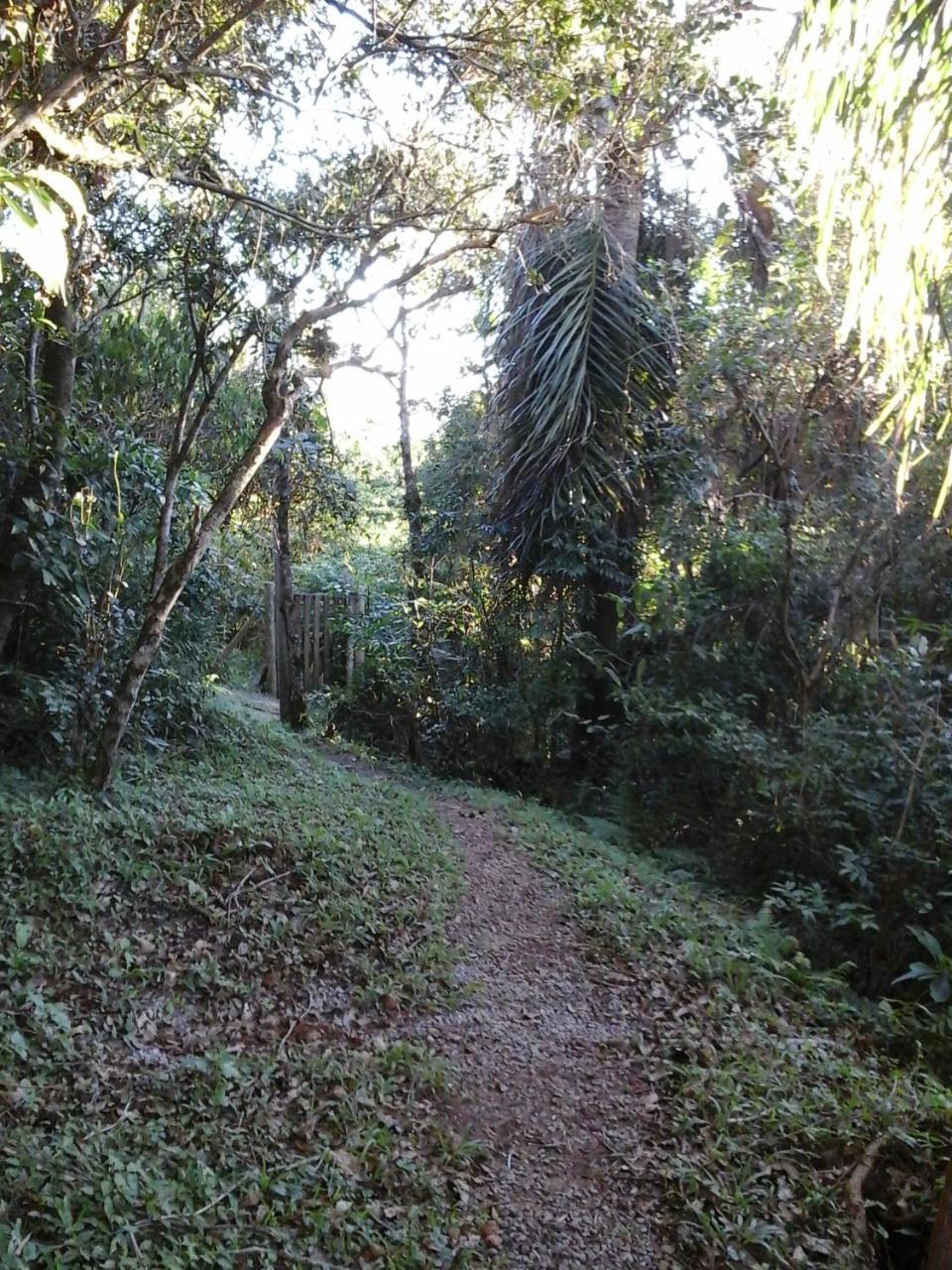 Natural Forest Praia do Rosa Exterior foto